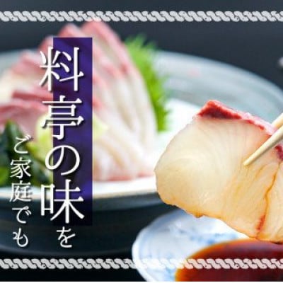 NG005  カンパチ 勘八 一節 300～400g 神経締め 高級 魚 産地直送 刺身 ぶりしゃぶ