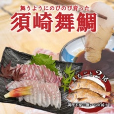 鯛 タイ 刺身 まるごと 2匹分 0.8～1kg 鮮魚 須崎舞鯛 ブランド 魚 産地直送 須崎市