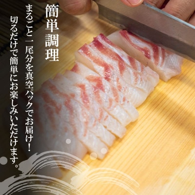 鯛 タイ 刺身 まるごと 2匹分 0.8～1kg 鮮魚 須崎舞鯛 ブランド 魚 産地直送 須崎市