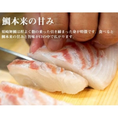 鯛 タイ 刺身 まるごと 2匹分 0.8～1kg 鮮魚 須崎舞鯛 ブランド 魚 産地直送 須崎市