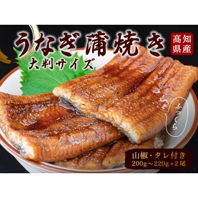高知県産うなぎの蒲焼き(2尾セット)