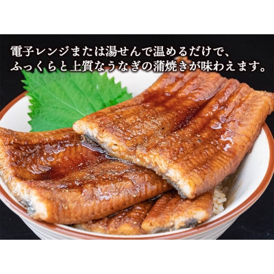 高知県産うなぎの蒲焼き(2尾セット)