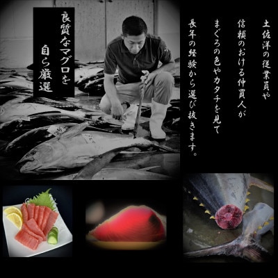 キハダマグロ赤身　500g