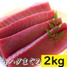 キハダマグロ赤身　2kg