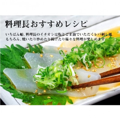 タルイカ　1kg