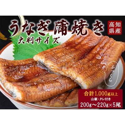 高知県産うなぎの蒲焼き(5尾セット)