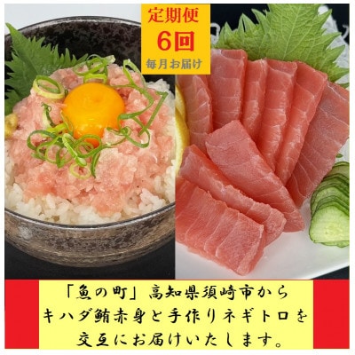 【毎月定期便】『魚の町』高知県須崎市からキハダ鮪1kgとネギトロ1kgを交互にお届けします全6回