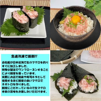 【毎月定期便】『魚の町』高知県須崎市からキハダ鮪1kgとネギトロ1kgを交互にお届けします全6回