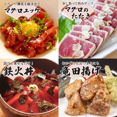【毎月定期便】『魚の町』高知県須崎市からキハダ鮪1kgとネギトロ1kgを交互にお届けします全6回