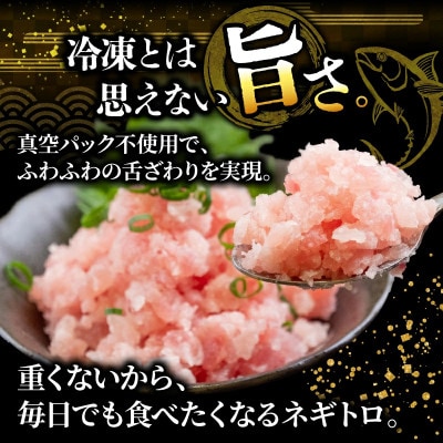 【毎月定期便】手作りネギトロ1040g(80gx13パック)全6回