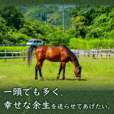 引退馬支援(3)