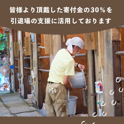 引退馬支援(3)