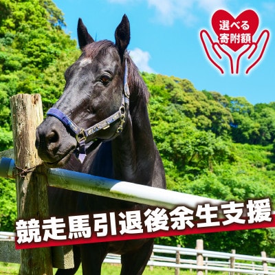 引退馬支援(1)