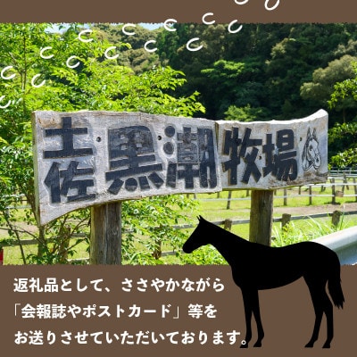 競走馬 引退後はどこへ?あなた力で引退馬の余生を! 黒潮友馬会応援10万円コース