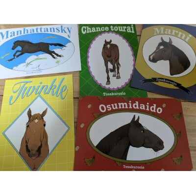 競走馬 引退後はどこへ?あなた力で引退馬の余生を! 黒潮友馬会応援50万円コース