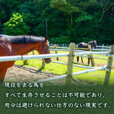 競走馬 引退後はどこへ?あなた力で引退馬の余生を! 黒潮友馬会応援50万円コース