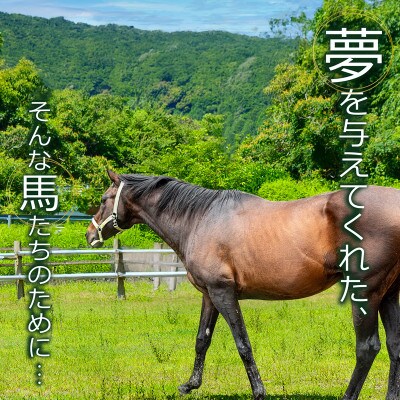 競走馬 引退後はどこへ?あなた力で引退馬の余生を! 黒潮友馬会応援50万円コース