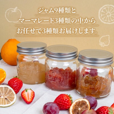 手作りジャム・マーマレード おまかせ 3種セット 季節の果物