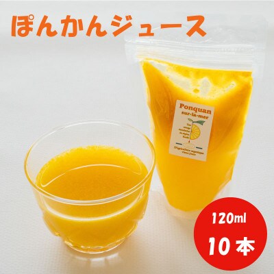 ポンカンジュース 120ml×10個 冷蔵配送