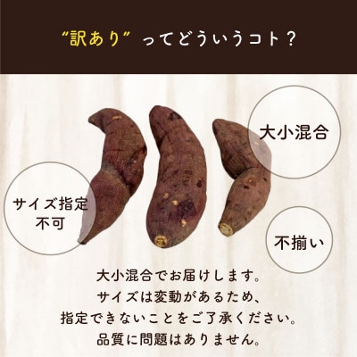 訳あり 冷凍 焼き芋 3kg 選抜 紅はるか