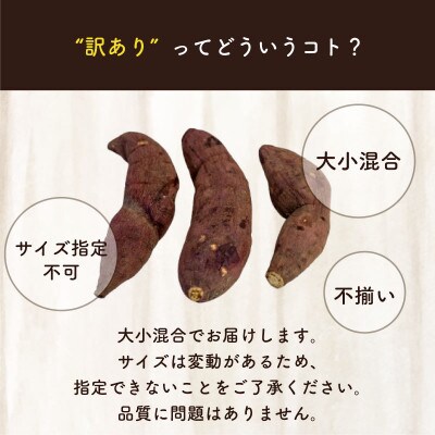 訳あり 冷凍 焼き芋 5kg 選抜 紅はるか