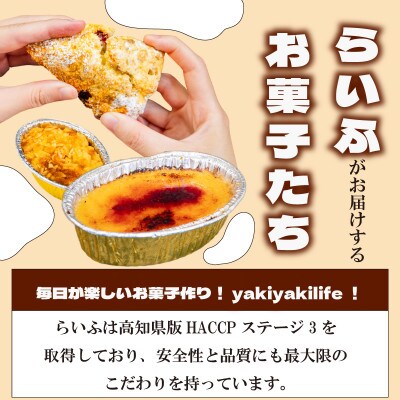 マンゴーゼリー15個