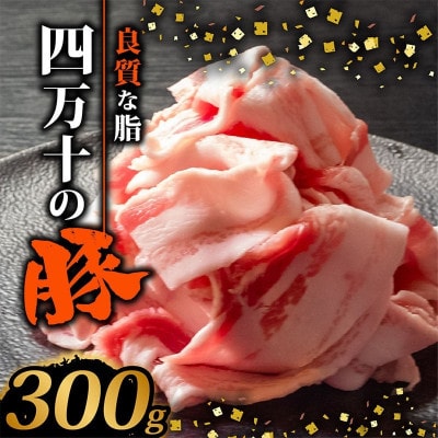 四万十ポークスライス 300g
