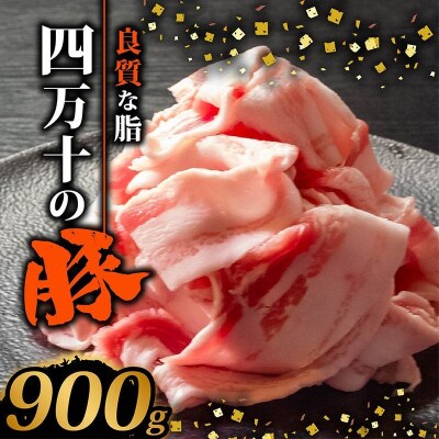 四万十ポーク スライス 900g