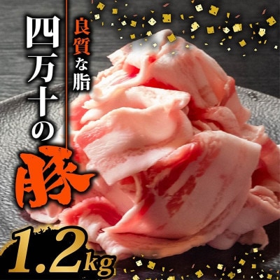四万十ポークスライス 1.2kg