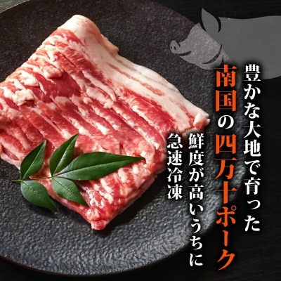 四万十ポークスライス 1.2kg