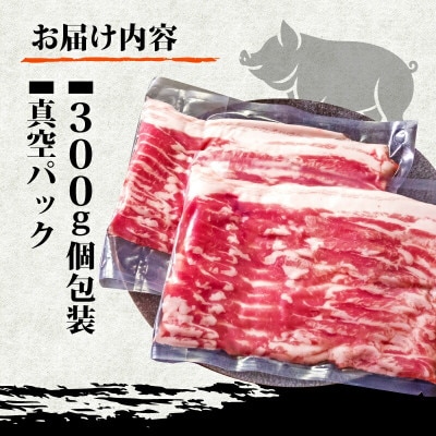 四万十ポークスライス 1.2kg