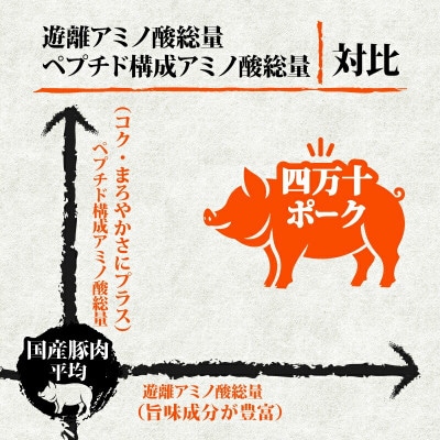 四万十ポークスライス 2.4kg