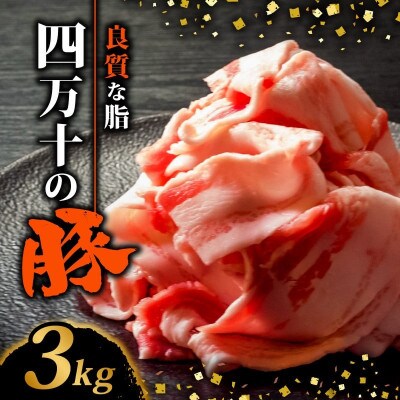 四万十ポークスライス 3kg