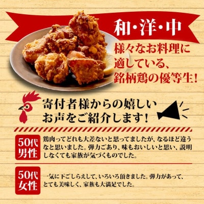 ブランド鶏「四万十鶏 もも肉」2.5kg