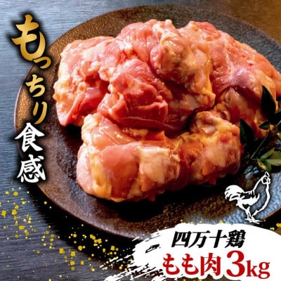 ブランド鶏「四万十鶏 もも肉」3kg