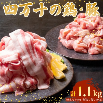 四万十鶏と四万十ポークセット 計1.1kg(鶏もも肉 500g と 豚肉 スライス 600g)