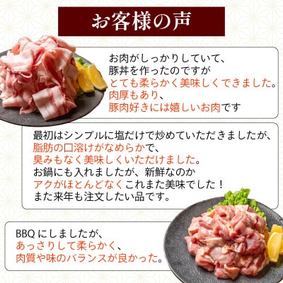 四万十鶏と四万十ポークセット 計1.1kg(鶏もも肉 500g と 豚肉 スライス 600g)