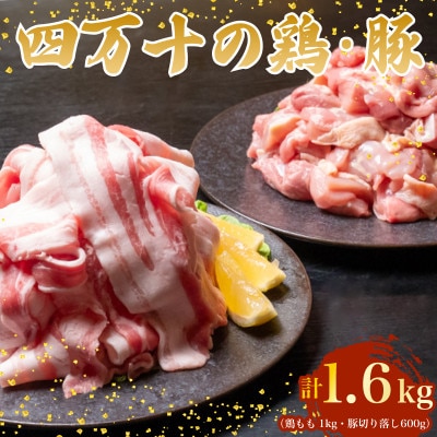 四万十鶏と四万十ポークセット 計1.6kg(鶏もも肉 1kg と 豚肉 スライス 600g)