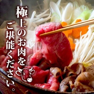 土佐黒毛和牛A5〜A4等級(特撰ウデ肉) すき焼用800g