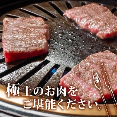 土佐黒毛和牛A5〜A4等級(特撰モモ肉) やわらか焼肉用800g