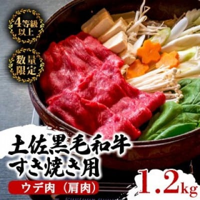 土佐黒毛和牛A5〜A4等級(特撰ウデ肉) すき焼用600g×2