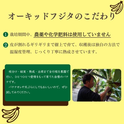 よさ恋バナナ 800g×2(1.5kg以上) 冷凍 国産