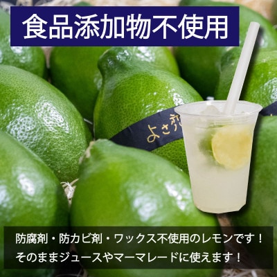 種無し よさ恋グリーンレモン 10～12個入(約1.7kg以上) 家庭用 防腐剤不使用