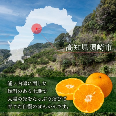 訳あり ポンカン 5kg 【 早期受付 2026年1月中旬より順次発送 】