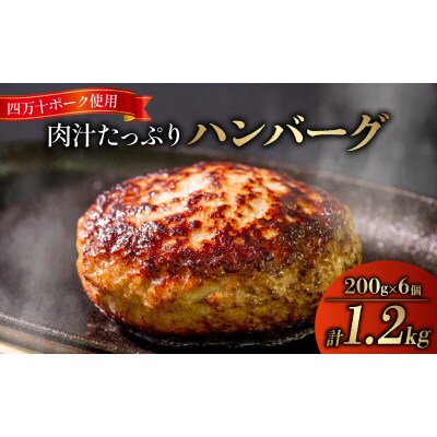 ハンバーグ 四万十ポーク 入り 1.2kg ( 200g × 6個 ) 真空 小分け 個包装