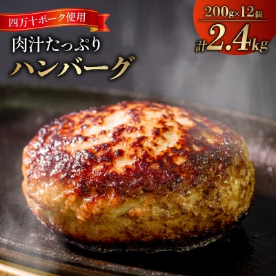 ハンバーグ 四万十ポーク 入り 2.4kg ( 200g × 12個 ) 真空 小分け 個包装