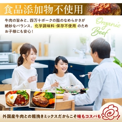 ハンバーグ 四万十ポーク 入り 2.4kg ( 200g × 12個 ) 真空 小分け 個包装