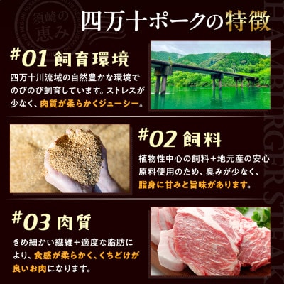 ハンバーグ 四万十ポーク 入り 2.4kg ( 200g × 12個 ) 真空 小分け 個包装