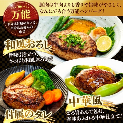 ハンバーグ 四万十ポーク 入り 2.4kg ( 200g × 12個 ) 真空 小分け 個包装