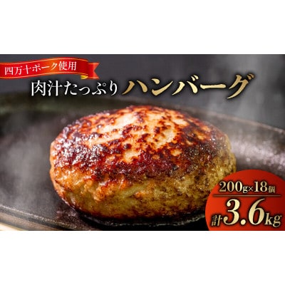 ハンバーグ 四万十ポーク 入り 3.6kg ( 200g × 18個 ) 真空 小分け 個包装